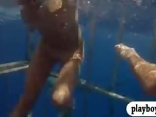 Seksowne laski swam w shark klatka i snowboarding topless